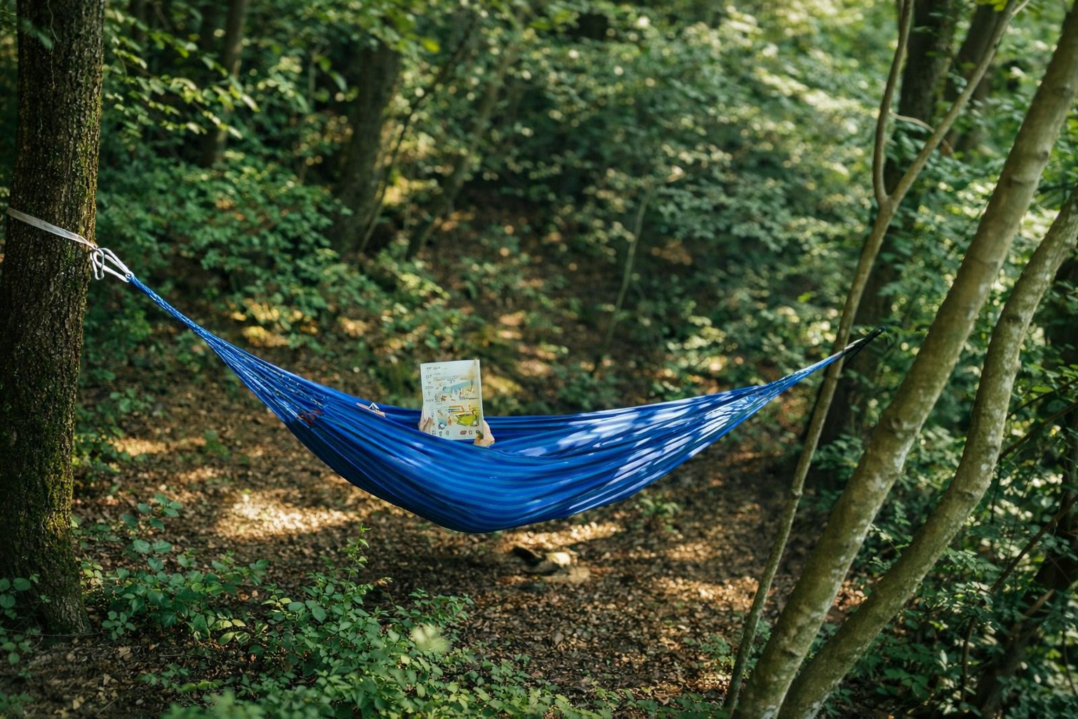 Tendë glamping e rrethuar nga natyra e gjelbër në PasneserPark Shqipëri