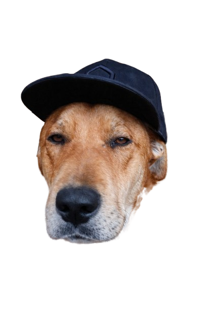 Tito - bari dhe udhërrëfyes turistik në PasneserPark